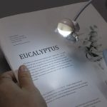Nahaufnahme eines wissenschaftlichen Eukalyptus-Exemplars mit LED-Licht, das auf einem weißen Blatt Papier mit Text liegt, ideal für wissenschaftliche Dekorationen.