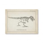 Detailliertes Skelettmodell eines Tyrannosaurus Rex, ideal für wissenschaftliche und dekorative Zwecke, zeigt die Knochenstruktur des prähistorischen Dinosauriers.