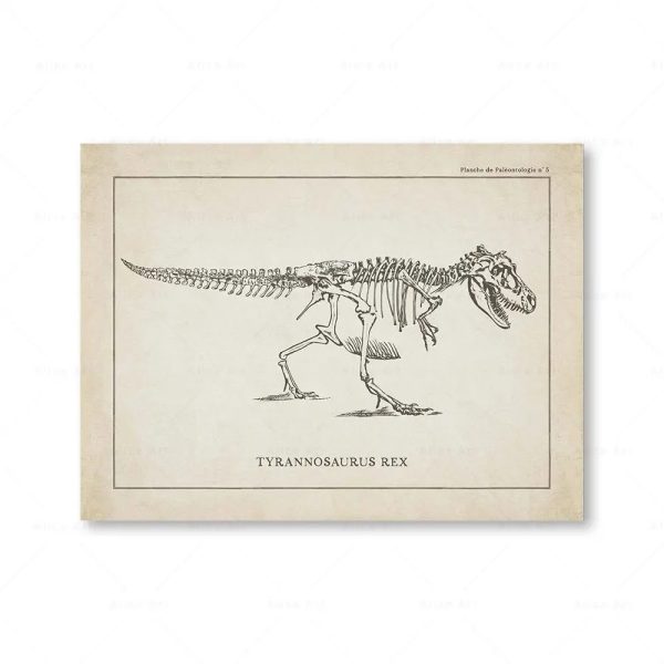Detailliertes Skelettmodell eines Tyrannosaurus Rex, ideal für wissenschaftliche und dekorative Zwecke, zeigt die Knochenstruktur des prähistorischen Dinosauriers.