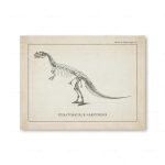 Illustration eines fossilen Dinosaurierskeletts des Ceratosaurus nasicornis, detailreich und wissenschaftlich genau, auf altem Papier mit Beschriftung.