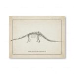 Detaillierte Illustration eines Dinosaurierskeletts, das den Diplodocus carnegii zeigt, auf einer wissenschaftlichen Seite. Perfekt für wissenschaftliche Dekorationen und Bildungszwecke.