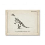 Detaillierte Illustration eines Dinosaurierskeletts, das den Iguanodon Bernissartensis zeigt, auf einer wissenschaftlichen Seite.