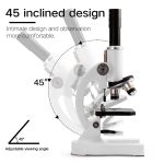 Mikroskop mit 45° Neigungswinkel für komfortable Beobachtung und ergonomisches Arbeiten. Ideal für wissenschaftliche Anwendungen und Dekorationen im wissenschaftlichen Stil.