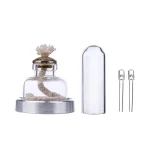 Transparentes Glasflaschenset mit Korkverschluss, Faden und zwei kleine Glühbirnen, ideal für wissenschaftliche Dekorationen oder Experimente.