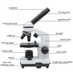 Hochwertiges Mikroskop mit 2X-Objektiv, Beleuchtung und verstellbarer Helligkeit, ideal für wissenschaftliche und dekorative Zwecke.