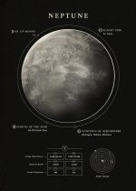 Detaillierte Illustration des Planeten Neptun mit wissenschaftlichen Daten, inklusive Umlaufbahn, Atmosphärentyp und Himmelskörper, ideal für Wissenschafts- und Astronomie-Enthusiasten.