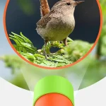 Nahaufnahme eines kleinen Vogels, der auf einem grünen Blatt sitzt, mit einem wissenschaftlichen Detektor im Vordergrund, der das Tier beobachtet.