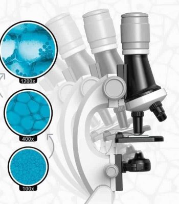 Hochwertiges Mikroskop mit vergrößernden Ansichten bei 100x, 400x und 1200x, ideal für wissenschaftliche Untersuchungen und Bildungszwecke.