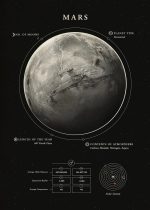 Detailliertes Modell des Mars mit wissenschaftlichen Markierungen, zeigt Mondanzahl, Atmosphärendaten und Sonnensystem-Informationen. Perfekt für Bildungs- und Dekorationszwecke.