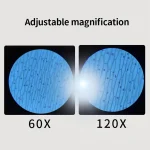 Mikroskopische Ansicht mit verstellbarer Vergrößerung, zeigt Zellstrukturen bei 60x und 120x Vergrößerung.