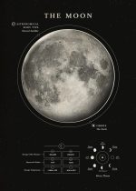 Detaillierte Illustration des Mondes mit Phasen, Umlaufbahn und astronomischen Daten, ideal für Wissenschafts- und Astronomie-Enthusiasten.