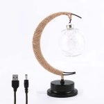 Dekoratives wissenschaftliches Licht mit Glasbehälter und USB-Kabel.