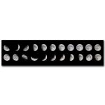 Darstellung der verschiedenen Mondphasen in 20 Schritten, von Neumond bis Vollmond, auf schwarzem Hintergrund.