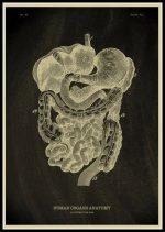 Detaillierte anatomische Illustration der menschlichen Organe, inklusive Gehirn, Magen und Darm, in einem wissenschaftlichen Schwarz-Weiß-Design.