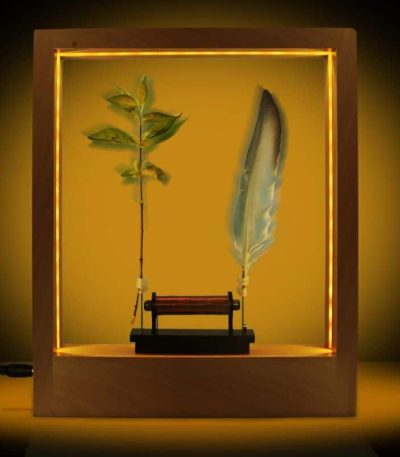 Präsentation eines grünen Blattes und einer Feder in einer beleuchteten Vitrine, ideal für wissenschaftliche Dekorationen und Sammlerstücke.