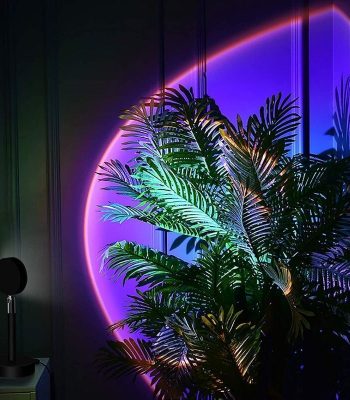 Moderne Pflanzeninstallation mit leuchtendem Neon-Hintergrund in einem stilvollen Raum, ideal für Dekoration und wissenschaftliche Themen.