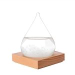 Transparentes wissenschaftliches Glasgefäß mit Wasser auf Holzbasis, ideal für Experimente und Dekorationen im wissenschaftlichen Stil.
