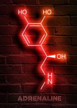 Leuchtendes Neon-Schild mit der chemischen Struktur von Adrenalin, hervorgehoben durch rotes Licht, an einer Ziegelwand angebracht, zeigt die chemische Formel und den Namen.
