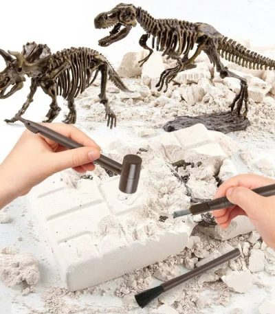 Interaktiver Dinosaurier-Fossilien-Bausatz für Kinder zum Graben und Zusammenbauen, inklusive Werkzeuge und Fossilien, ideal für Wissenschafts- und Bildungsgeschenke.