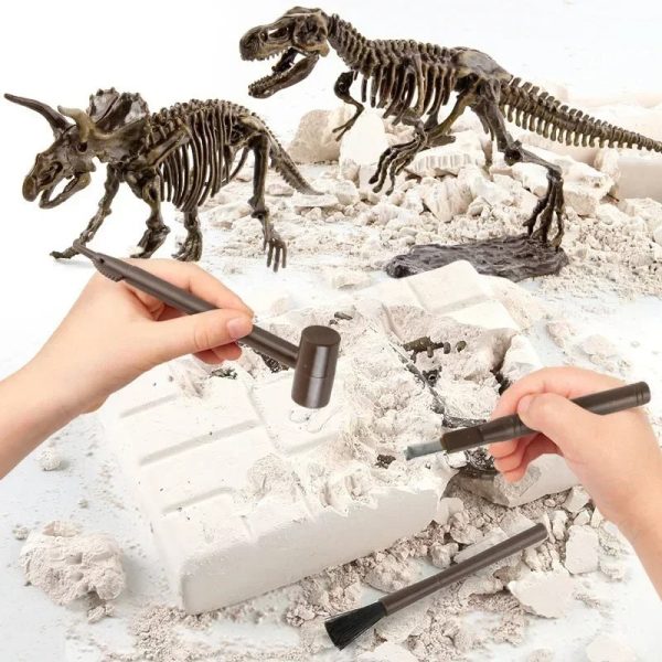Interaktiver Dinosaurier-Fossilien-Bausatz für Kinder zum Graben und Zusammenbauen, inklusive Werkzeuge und Fossilien, ideal für Wissenschafts- und Bildungsgeschenke.