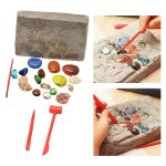 Stein-Set mit Werkzeugen zur Fossilien- und Mineralienpräparation, inklusive verschiedener Steine und Werkzeuge für wissenschaftliche und dekorative Zwecke.
