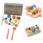 Stein mit bunten Muscheln, Werkzeugen und Sand, ideal für wissenschaftliche Experimente und Dekorationen. Perfekt für Bildungszwecke und kreative Projekte im naturwissenschaftlichen Bereich.