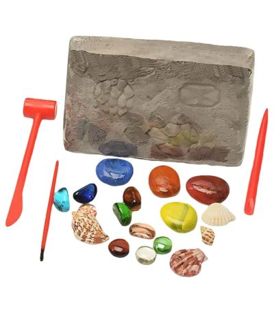 Fossilien und Muscheln auf einem Stein mit Werkzeugen, ideal für wissenschaftliche Dekorationen und Bildungszwecke.