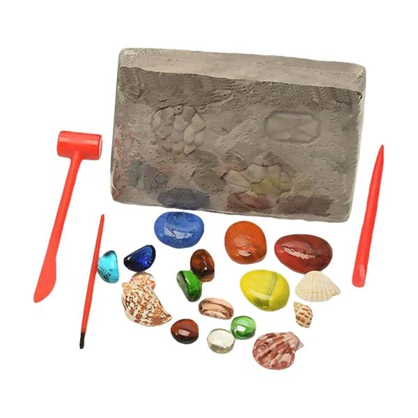 Fossilien und Muscheln auf einem Stein mit Werkzeugen, ideal für wissenschaftliche Dekorationen und Bildungszwecke.