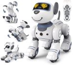 Interaktiver Roboter mit Fernbedienung, der sich bewegen und drehen lässt, ideal für Kinder und Technikliebhaber.
