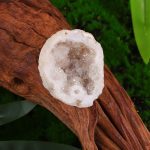 Nahaufnahme einer weißen Kristallgeode auf einem braunen Holzstamm, umgeben von grüner Natur, zeigt die funkelnden Kristalle im Inneren.