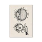 Detailliertes wissenschaftliches Diagramm der Anatomie des Auges und der Nase, zeigt verschiedene Strukturen und Beschriftungen für Bildungszwecke.