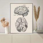 Detaillierte anatomische Illustration des menschlichen Gehirns, zeigt verschiedene Bereiche und Strukturen in Schwarz-Weiß, ideal für wissenschaftliche Dekorationen.