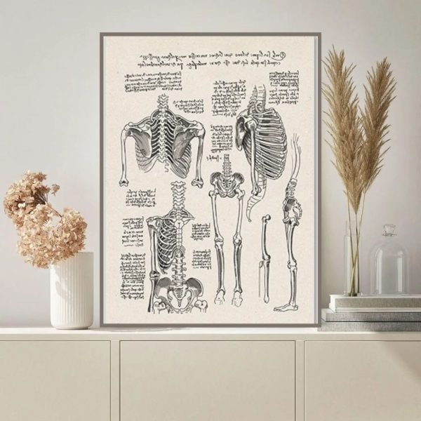 Anatomisches Skelett-Poster mit detaillierten menschlichen Knochenzeichnungen, ideal für Wissenschafts- und Anatomie-Dekor. Perfekt für Bildungseinrichtungen und Wissenschaftsliebhaber.