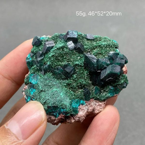 Natürlicher Edelstein mit schwarzen Kristallen und grüner Mineralstruktur, handgehalten für Detailansicht.