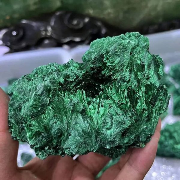 Nahaufnahme eines grünen Kristalls, der auf einer Hand gehalten wird, mit einer mineralischen Sammlung im Hintergrund.
