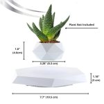 Moderner, geometrischer Blumentopf mit Aloe Vera Pflanze, ideal für wissenschaftliche Dekorationen und moderne Inneneinrichtung, Maße: 7.7" x 3.28" x 1.8".