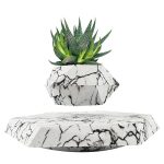 Hochwertige Dekoration mit einem stilvollen, wissenschaftlich inspirierten Design, bestehend aus einer Pflanze in einer Marmor-Optik-Box, perfekt für moderne Innenräume.