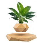 Modernes Pflanzenarrangement in geometrischer Holzvase auf einem Holzsockel, stilvolle Raumdekoration.