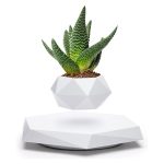Moderner, geometrischer Blumentopf mit Aloe Vera Pflanze, ideal für wissenschaftliche Dekorationen und moderne Inneneinrichtung.