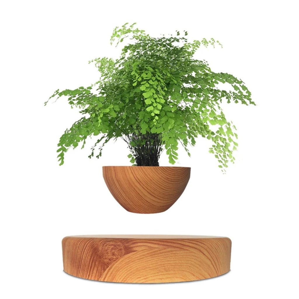 Blumen in einem Holzgefäß, perfekt für wissenschaftliche Dekorationen und Geschenke.