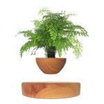 Blumen in einem Holzgefäß, perfekt für wissenschaftliche Dekorationen und Geschenke.