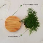Pflanze auf Holzsockel mit schwebender Basis, dekoratives wissenschaftliches Objekt, ideal für moderne Inneneinrichtung, zeigt Potted Plants und Suspended Base.