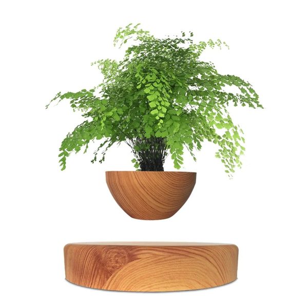 Blumen in einem Holzgefäß, perfekt für wissenschaftliche Dekorationen und Geschenke.