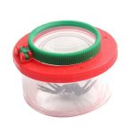 Kleine Krebsfigur in einem transparenten Glas mit rotem und grünem Deckel, ideal für wissenschaftliche Dekorationen oder Lernzwecke.