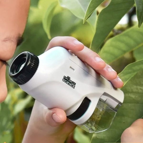 Kind mit tragbarem Mikroskop, das Blätter und Pflanzen in der Natur untersucht, ideal für Wissenschafts- und Naturbegeisterte.