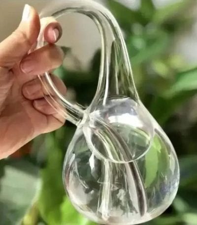 Hand hält ein transparentes Glasgefäß mit Wasser, das eine einzigartige, geschwungene Form aufweist, vor einem grünen, unscharfen Pflanzenhintergrund.