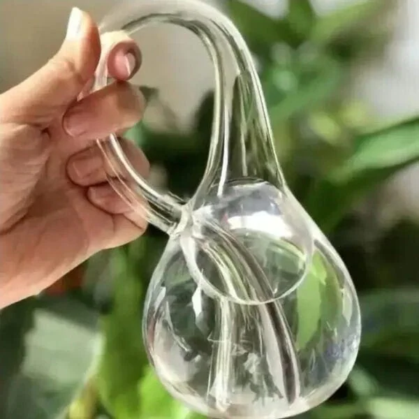 Hand hält ein transparentes Glasgefäß mit Wasser, das eine einzigartige, geschwungene Form aufweist, vor einem grünen, unscharfen Pflanzenhintergrund.
