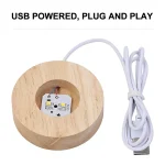 Holz- und LED-Science-Experiment, USB-betrieben, mit Kabel, für wissenschaftliche und dekorative Zwecke.