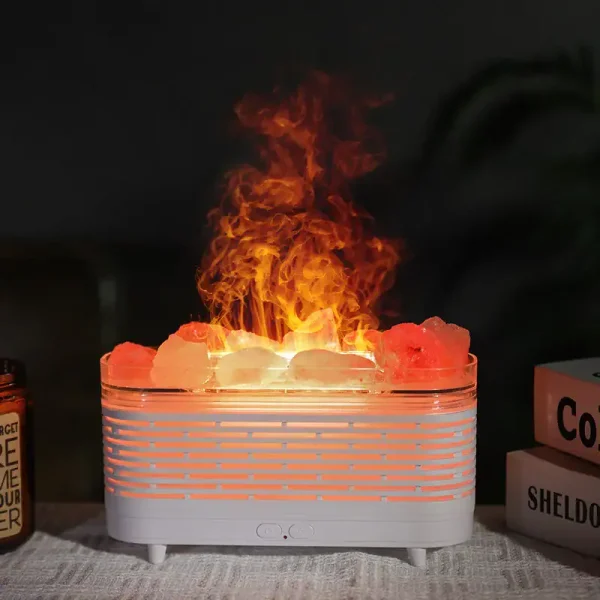 Ein faszinierendes Wissenschaftsexperiment zeigt Wasser, das durch Flammen erhitzt wird, mit sichtbaren Flammen und Eis im Behälter.