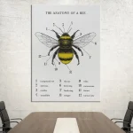 Detaillierte Illustration der Bienenanatomie mit nummerierten Teilen wie Flügel, Beine und Augen. Perfekt für wissenschaftliche Dekorationen und Lernmaterialien.